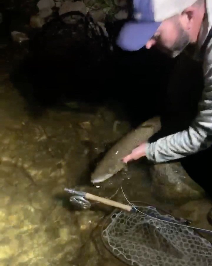 Get on the night bite! The largest predators in the river are nocturnal during the hot summer months, and full moons from June-August are the best times for topwater action. A few prime dates are still available.