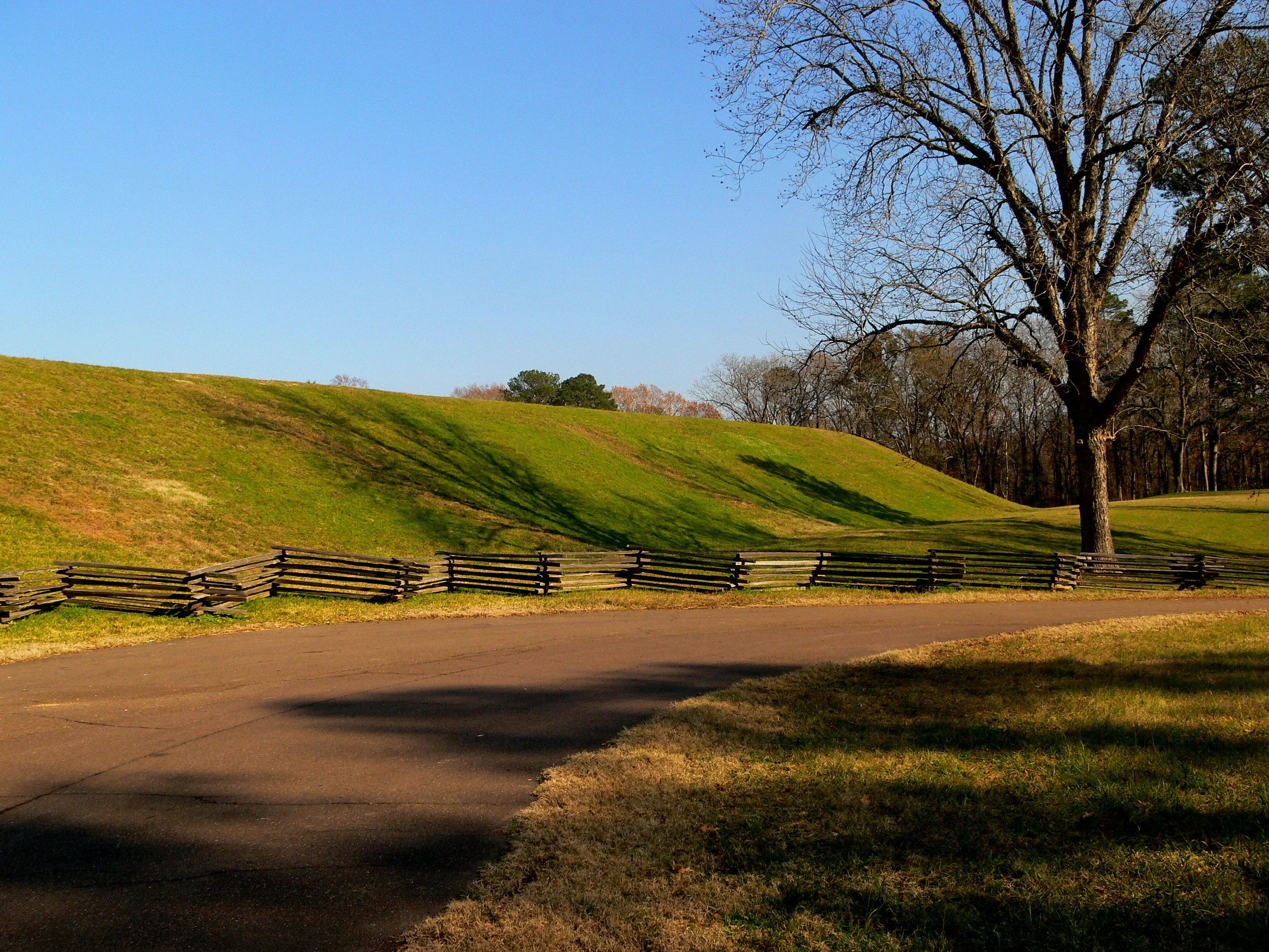 p1290344-2.jpg