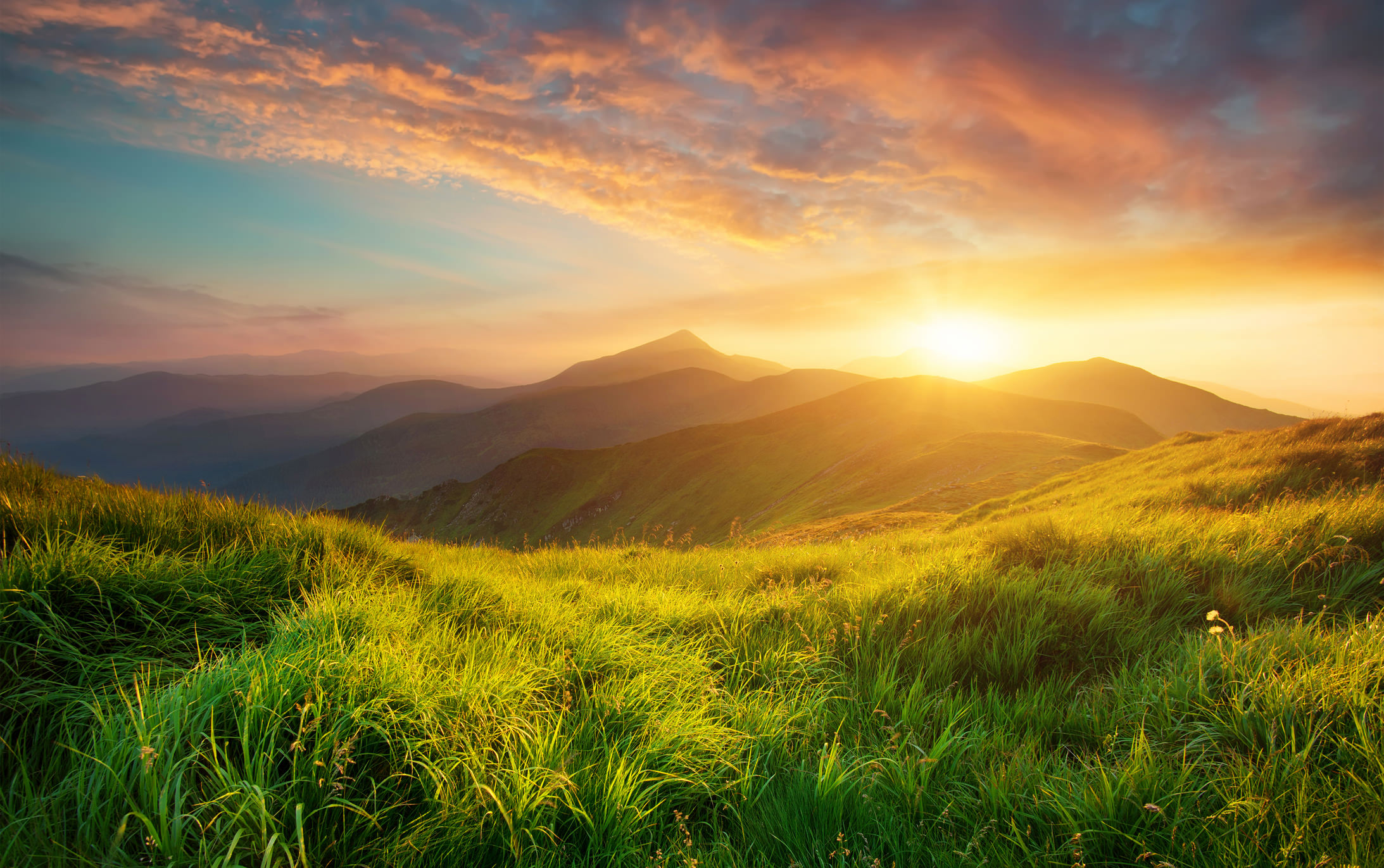 iStock-517188688.jpg