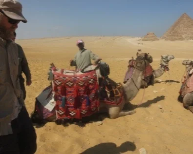 camels-1.jpg