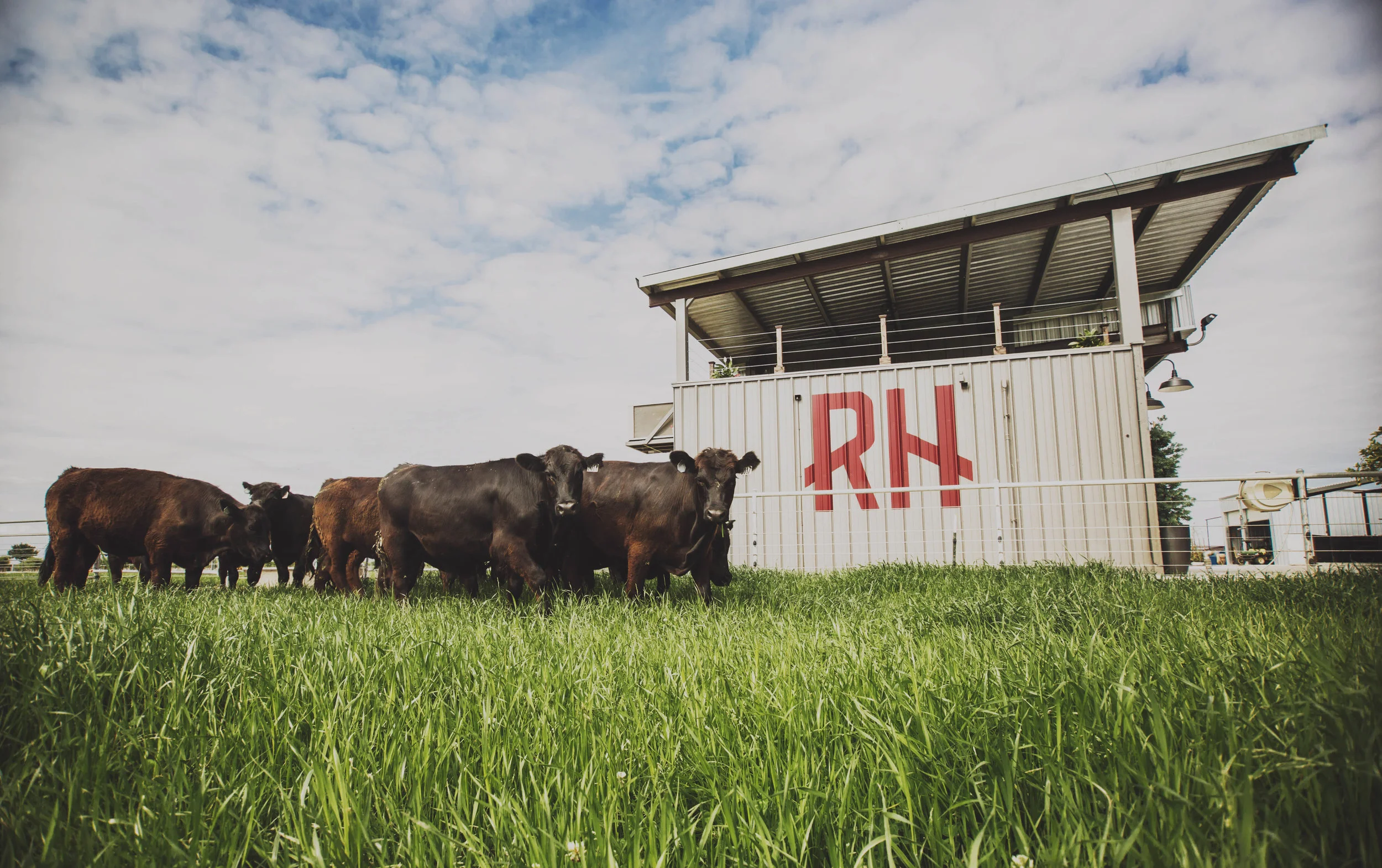 Suyen_Redhouse_Ranch_HR_028_Edit copy.jpg