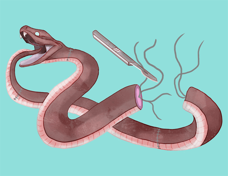 Vivisection-Editorial-Animation.gif