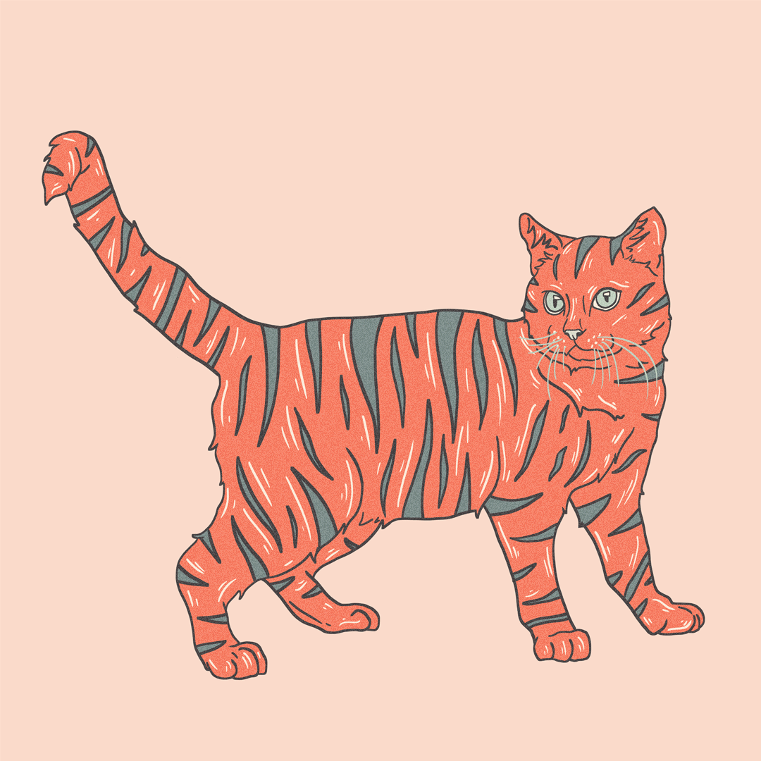 Cat-Pattern-Gif.gif