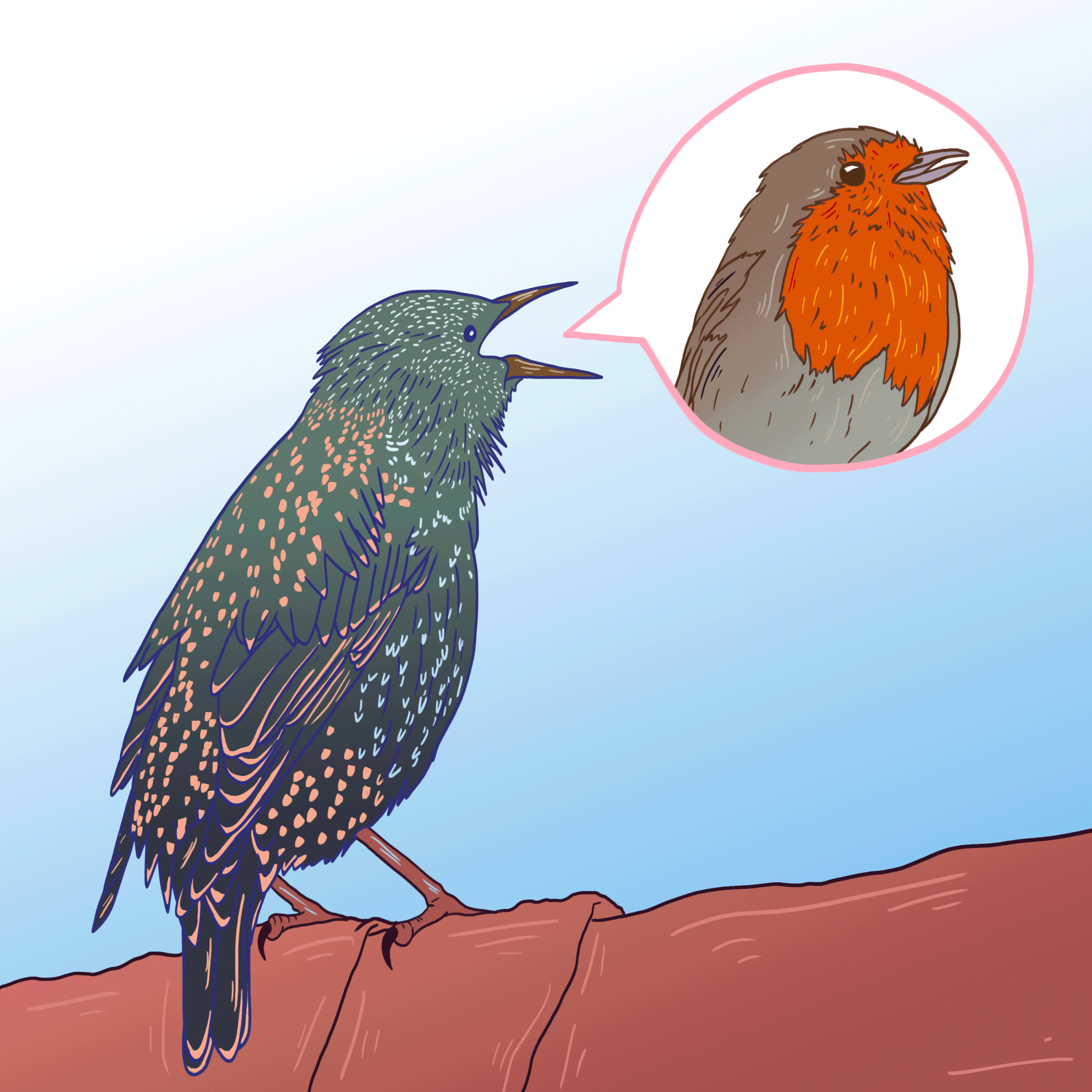 Starling-Call.gif
