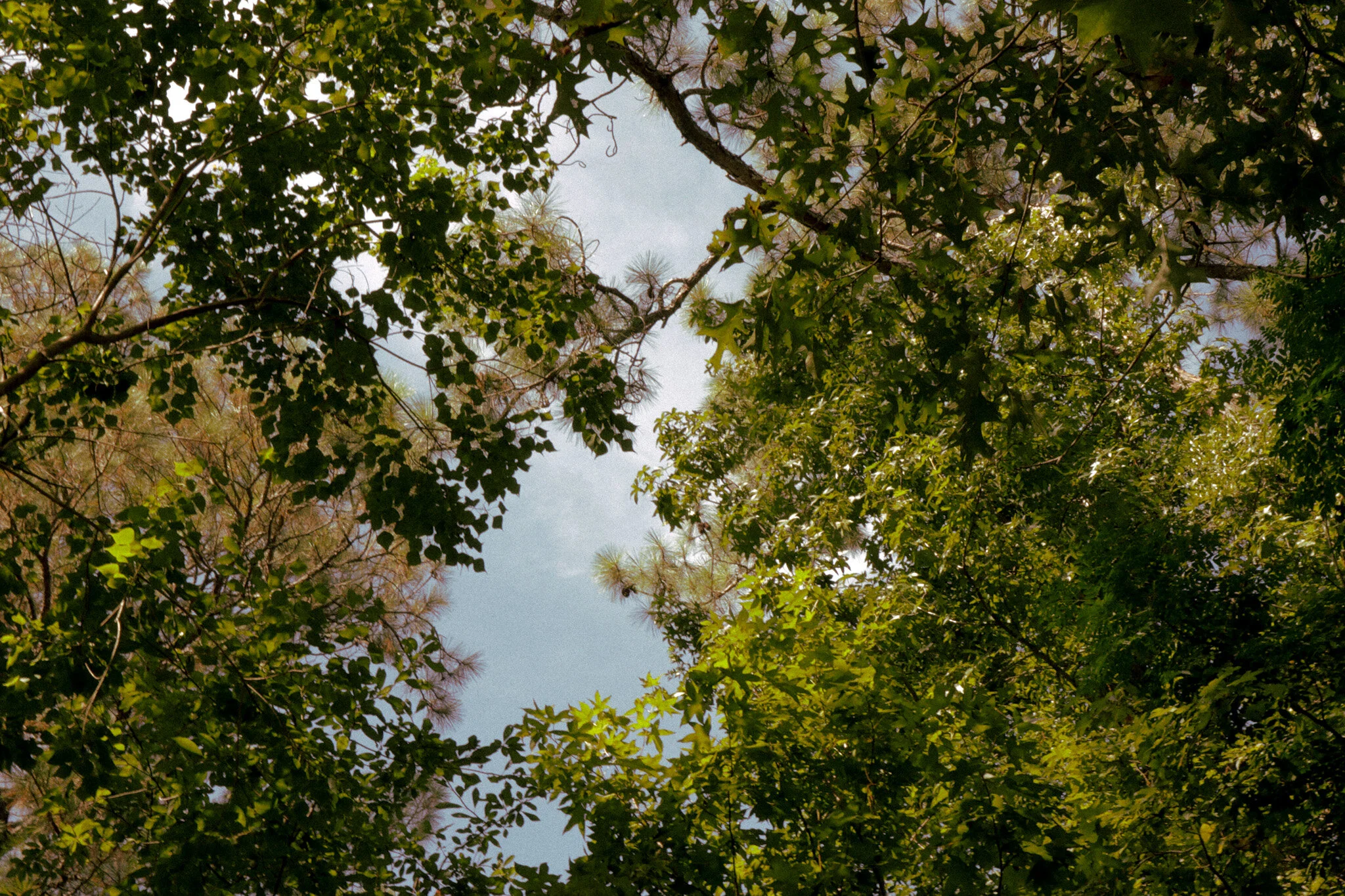 looking back on july 2020