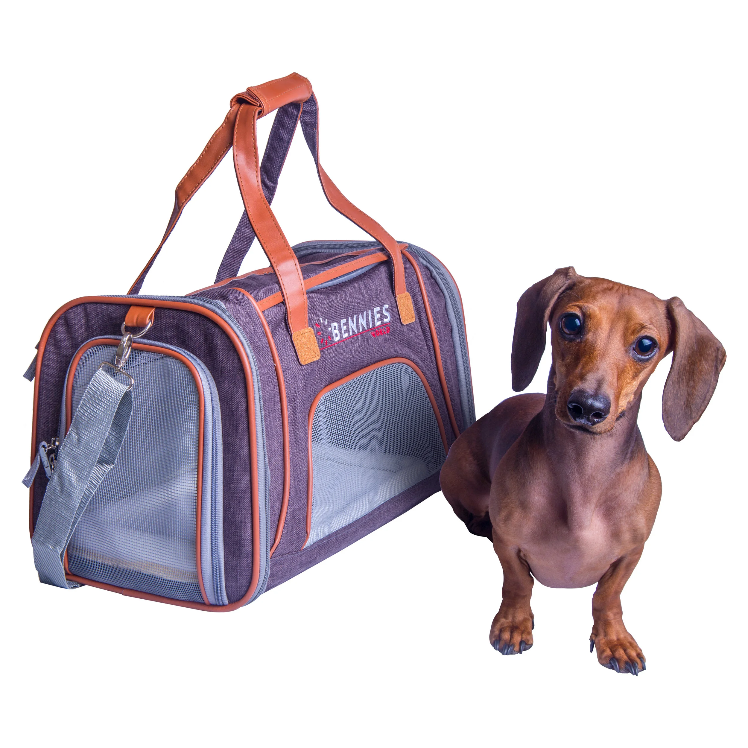 PetCarrier-9.JPG