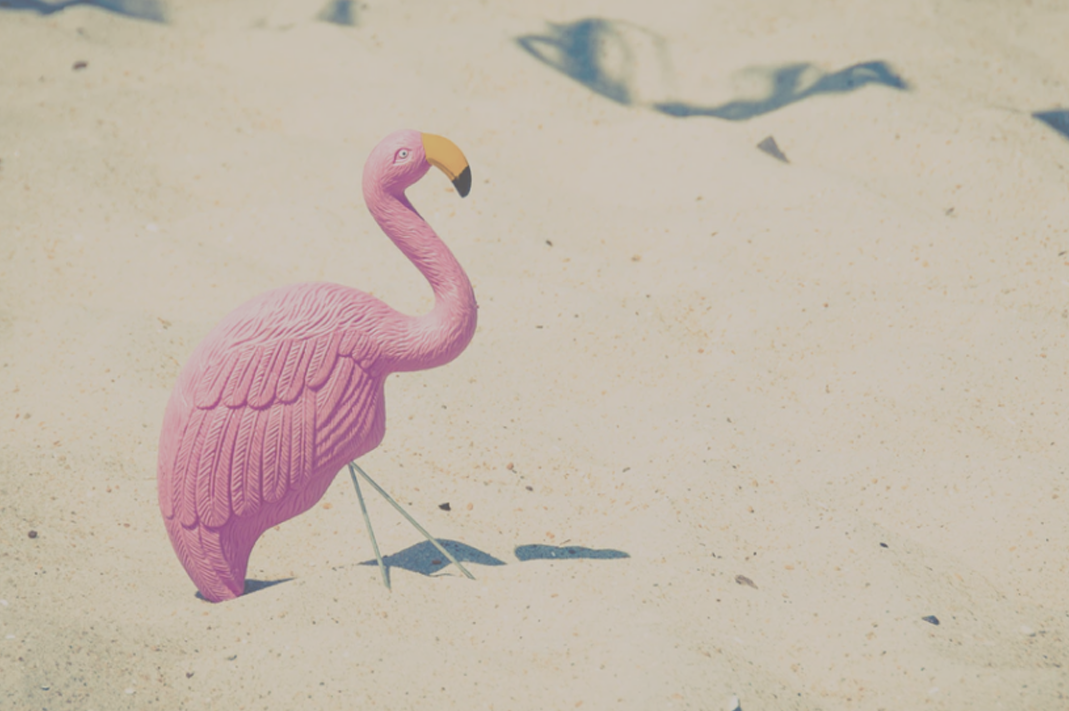 Inti-Mate Blog - Tickled Pink.png
