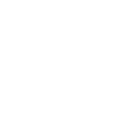TeamACCelerate_Logo_ALLWHITE.png