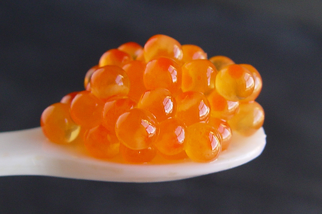 SOLEX_Trout Roe 6x4.jpg