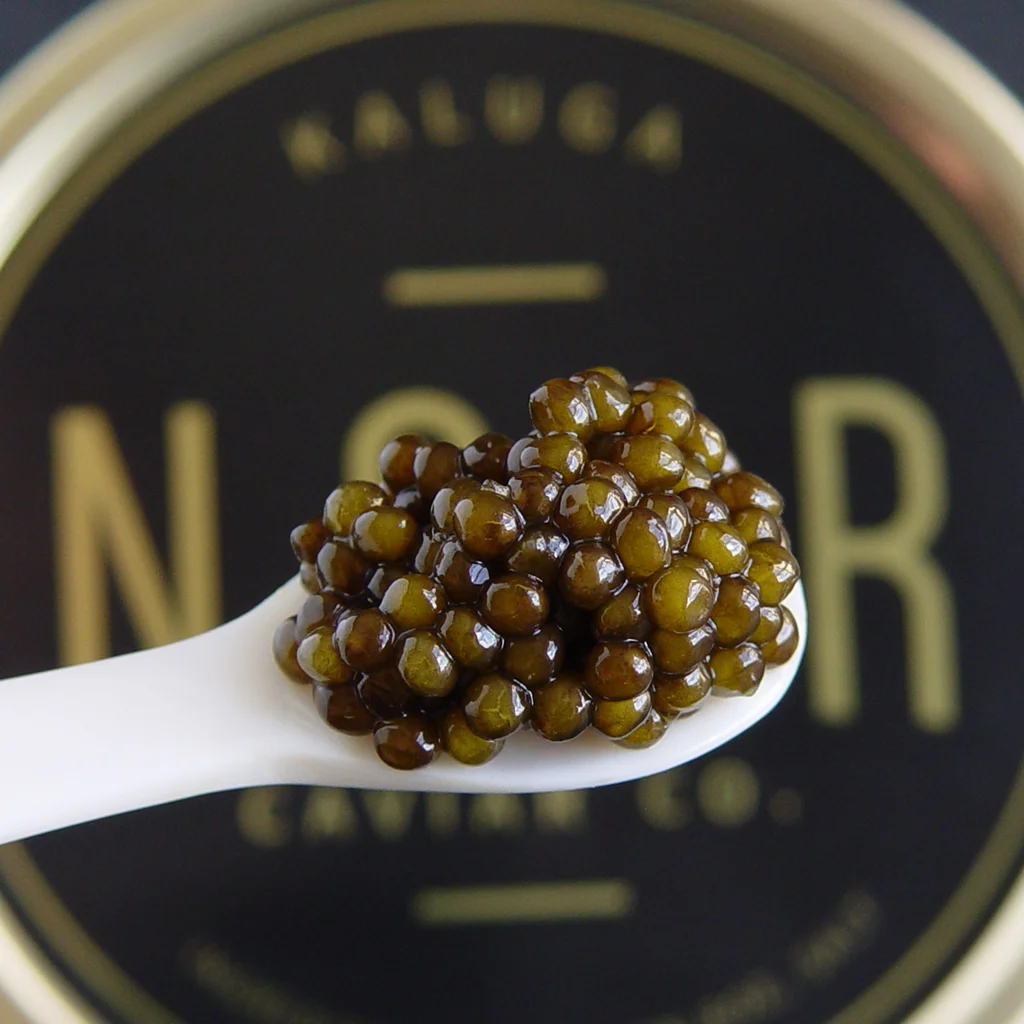 Kaluga Hybrid Caviar