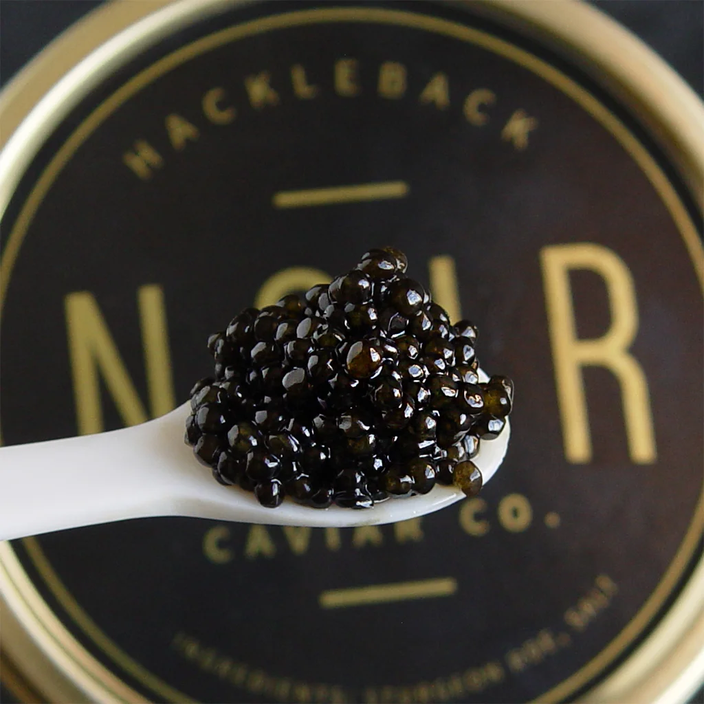 Hackleback Caviar