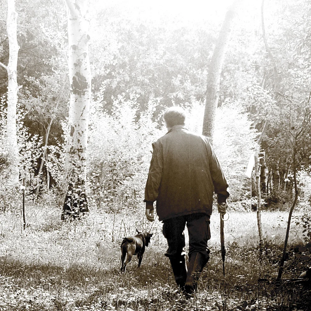 Truffle Hunter in Forrest-square.jpg