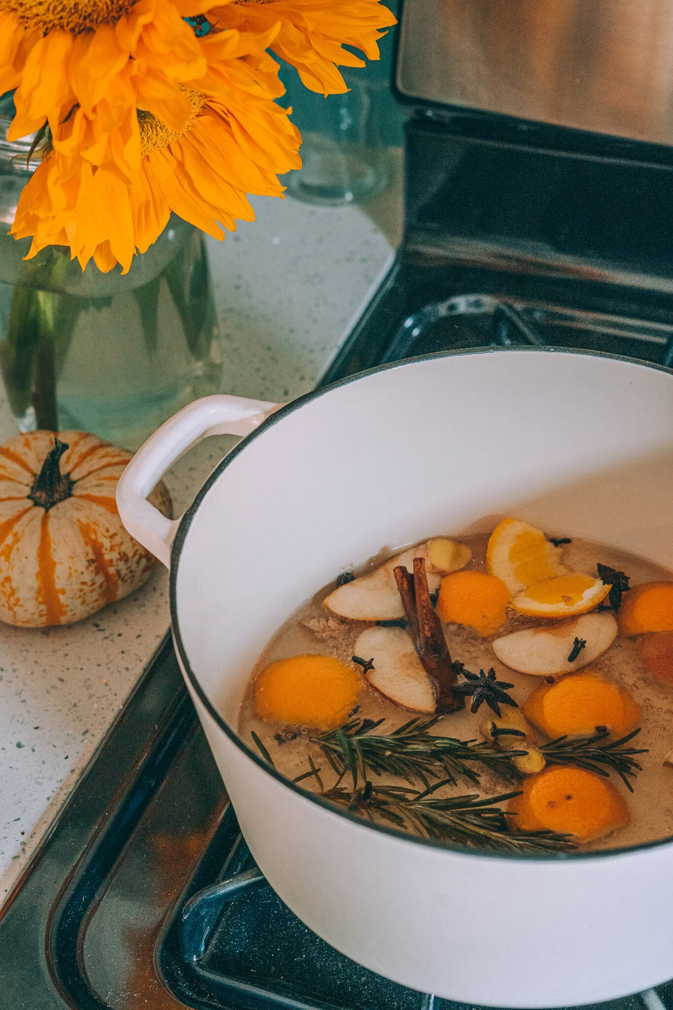 small potpourri simmering soup heating pot