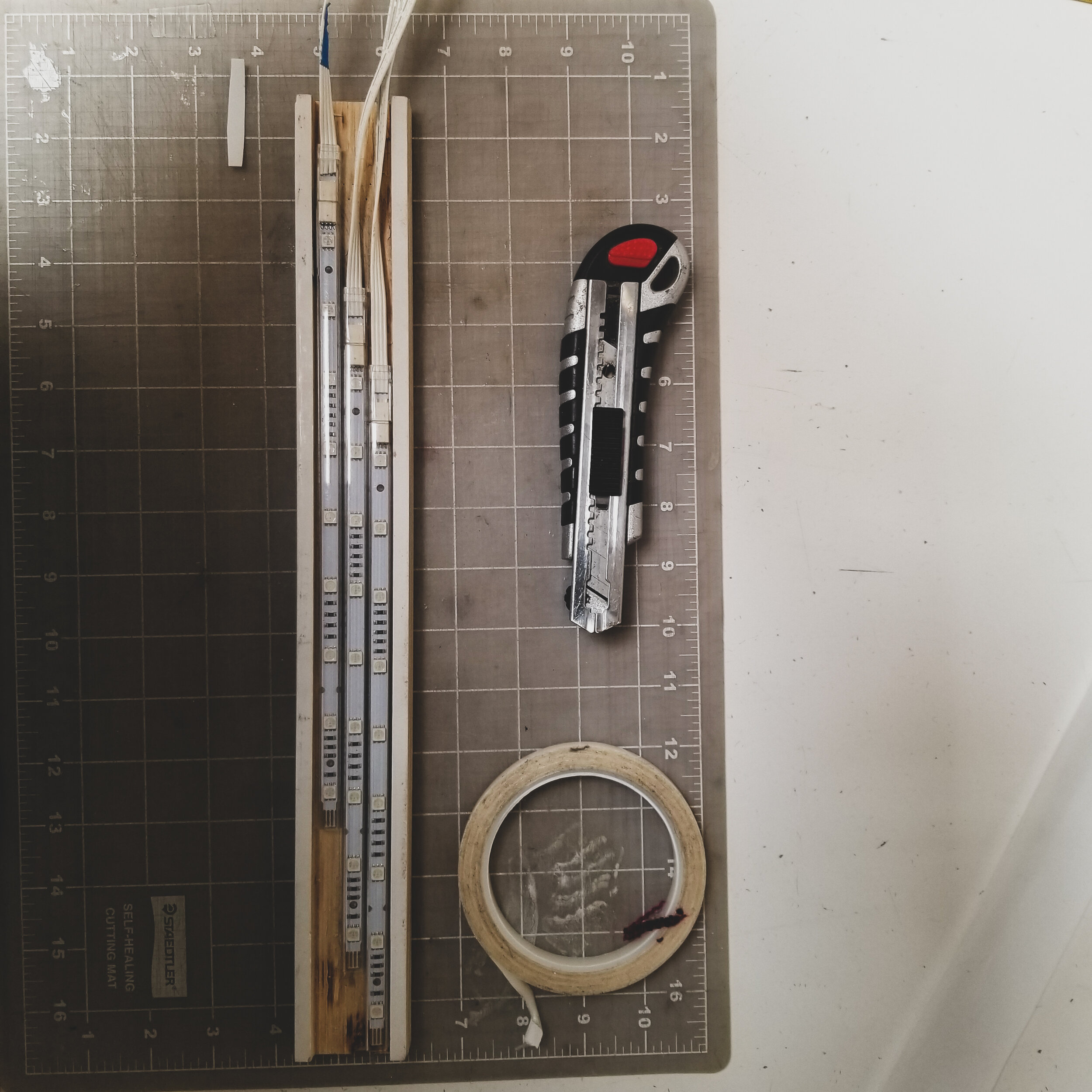 20190928_125036.jpg