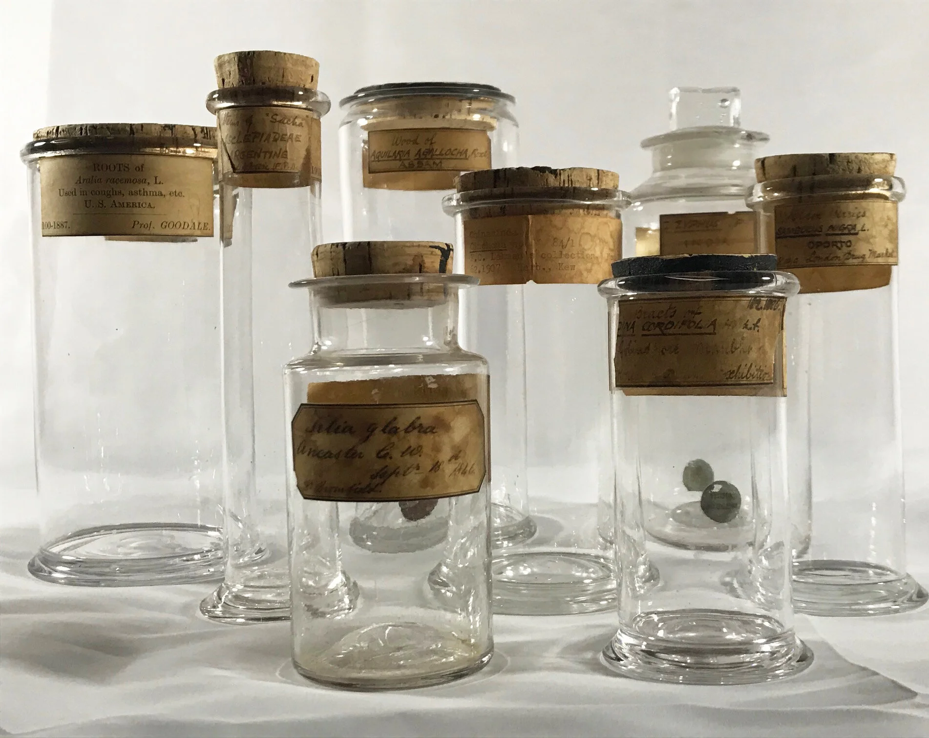 A collection of interesting glass specimen jars from Kew Gardens