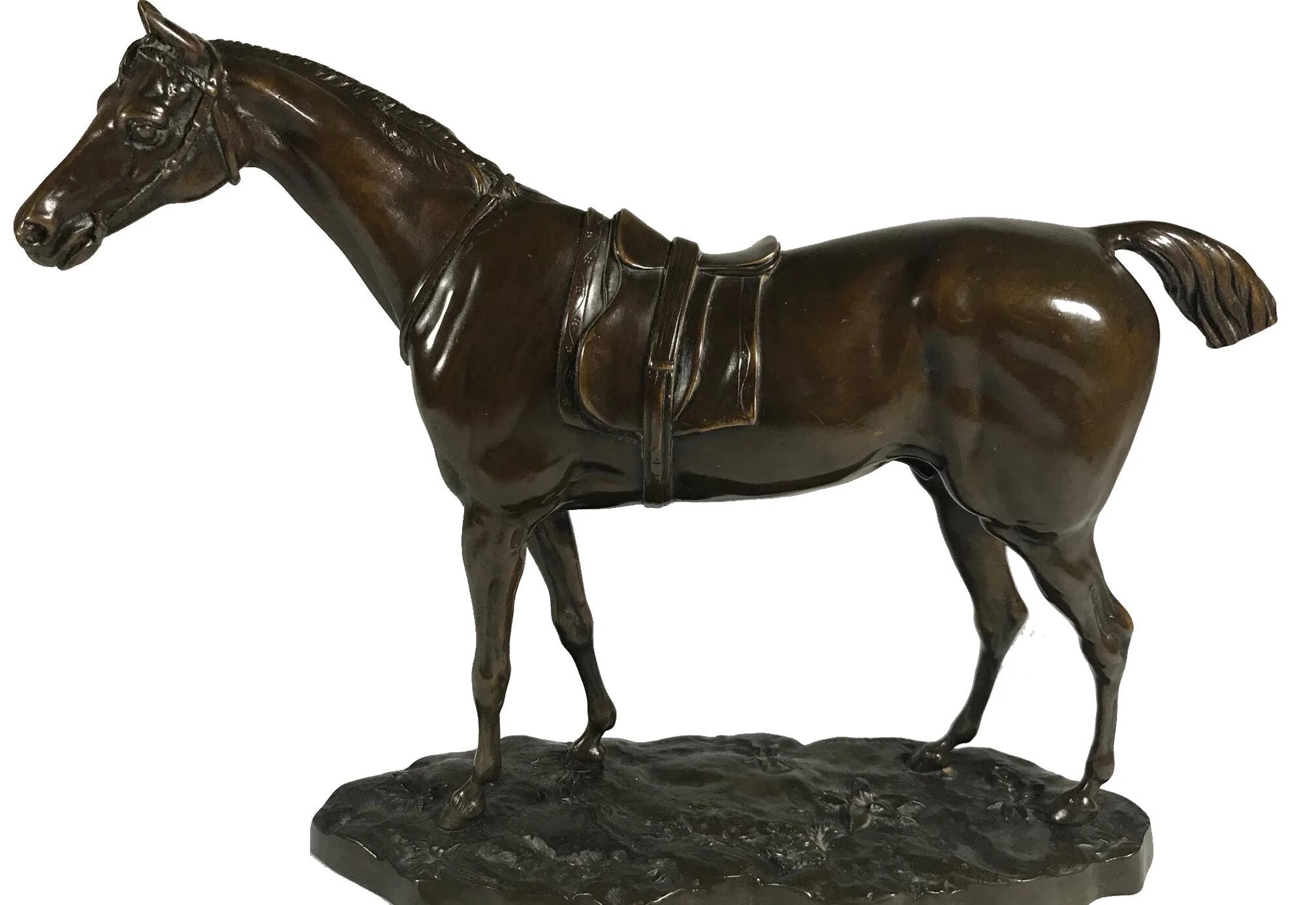 Horse 3.jpg