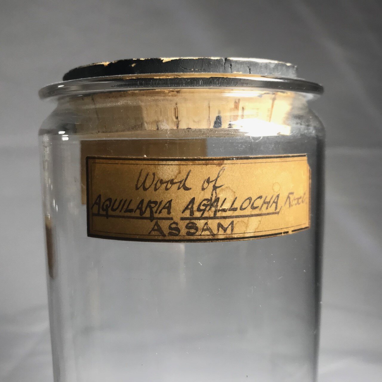 kew jar 3.jpg