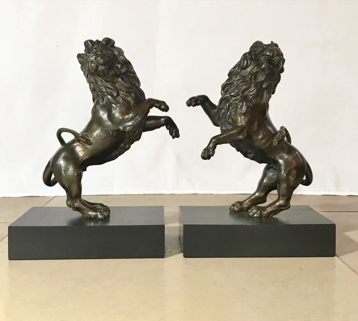 Lions 1 edit.jpg