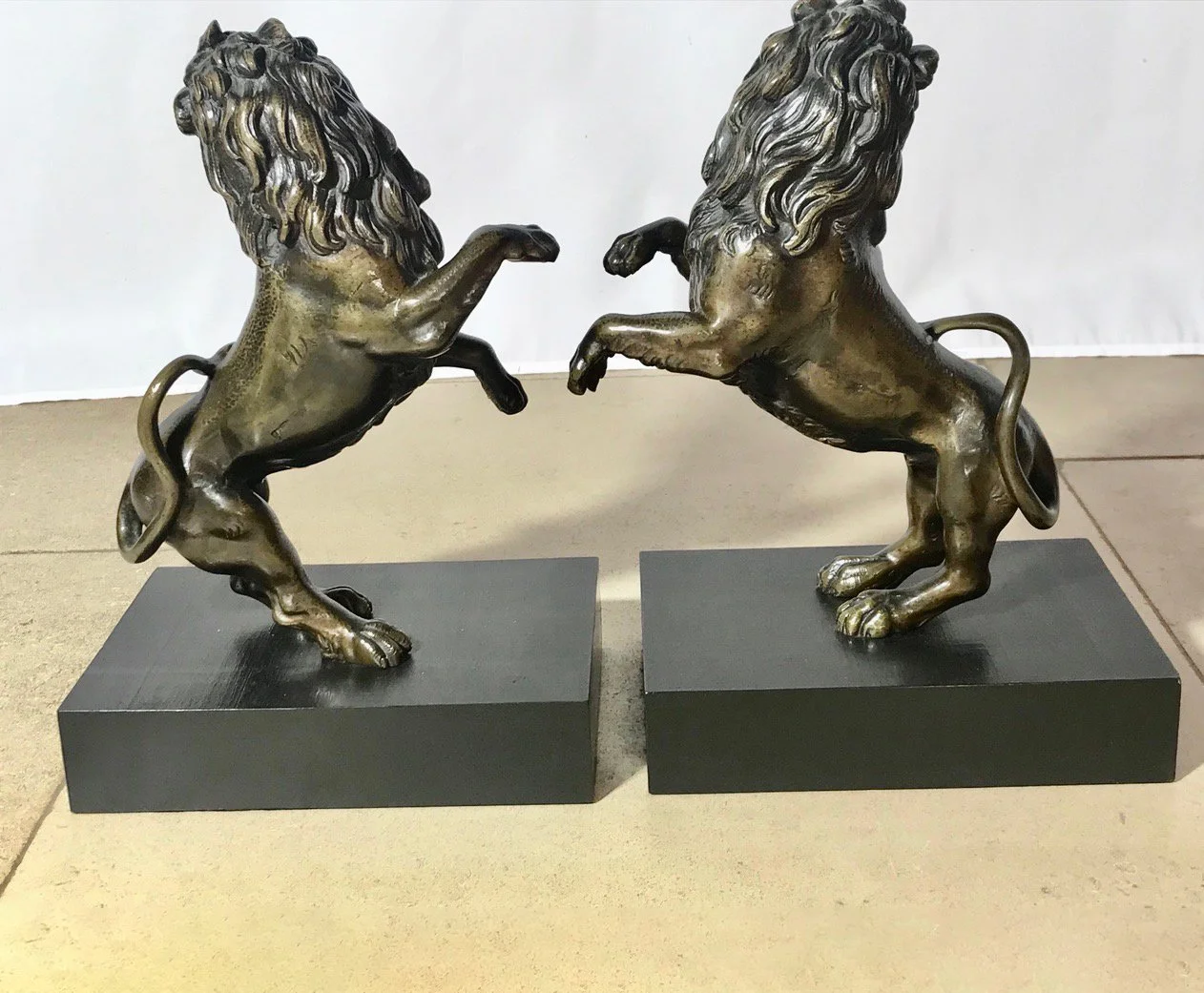 Lions 2 edit.jpg