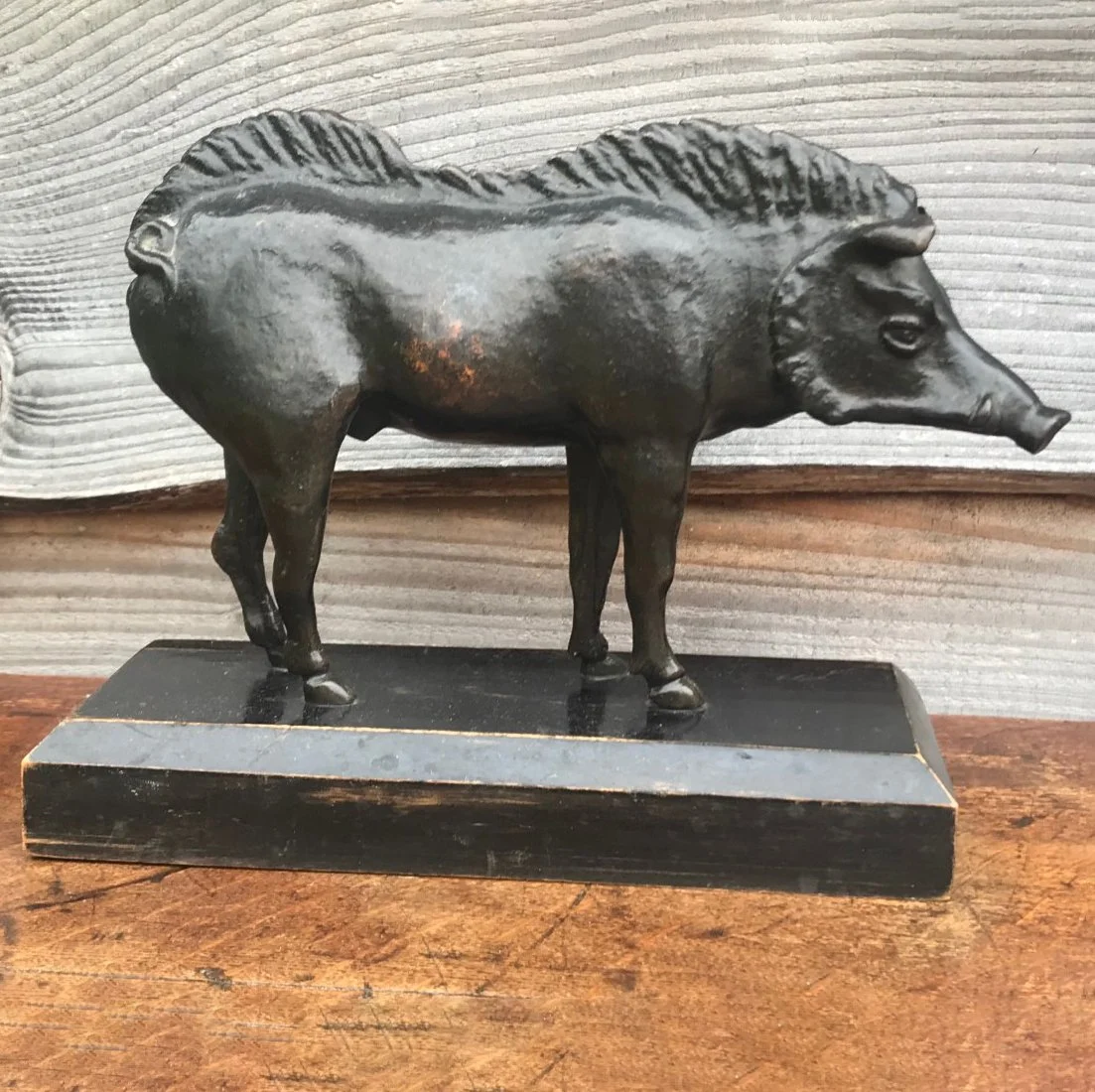 Boar 1.jpg