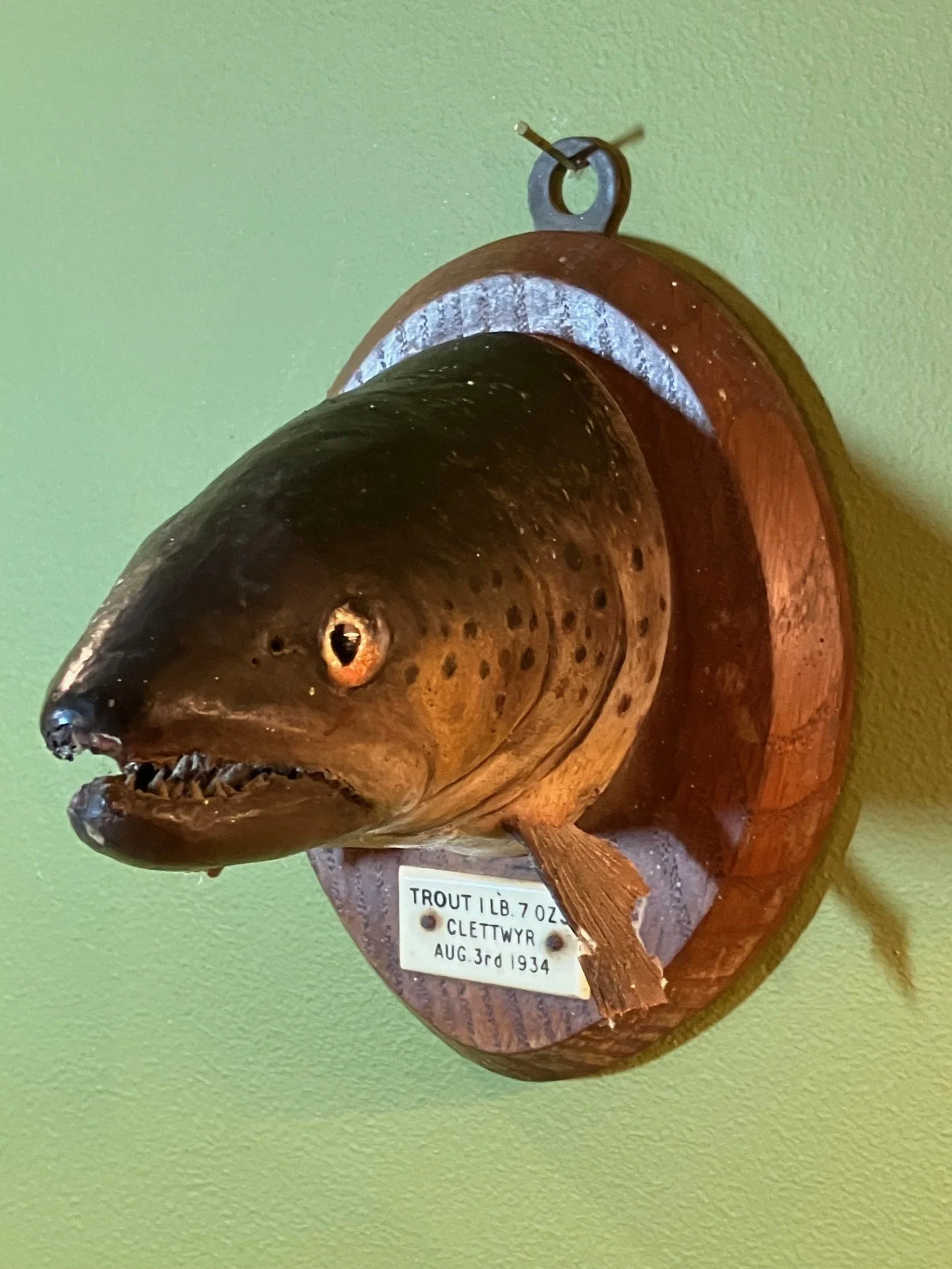 Trout.jpg