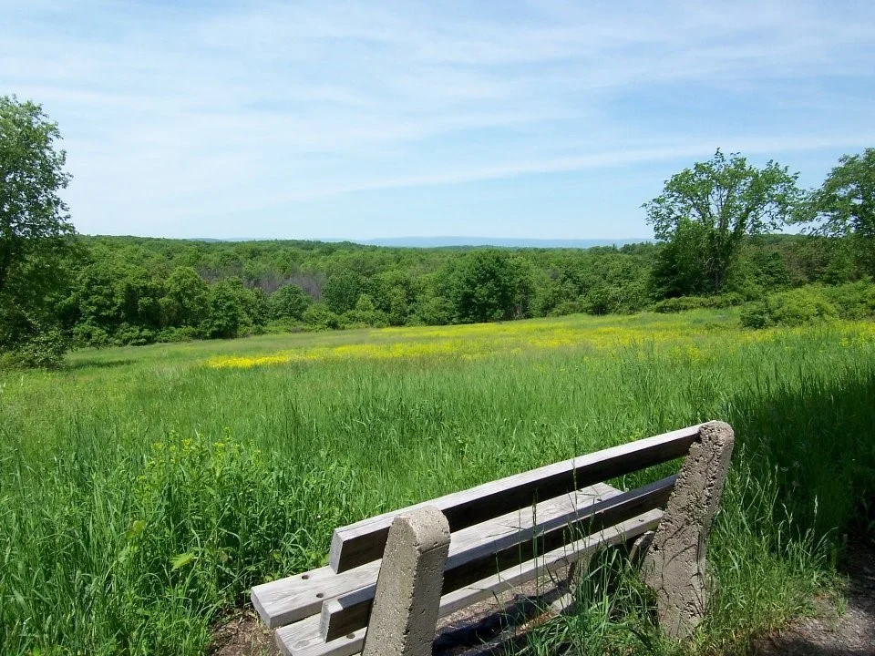 Image from Stewart State Forest Bike Tour