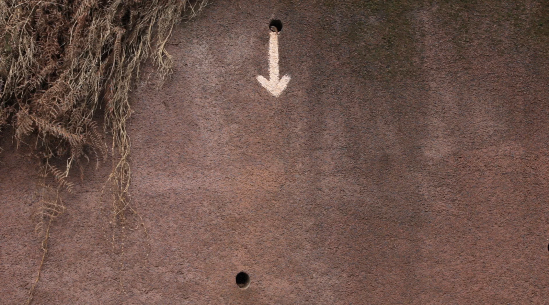 signs_still6.jpg