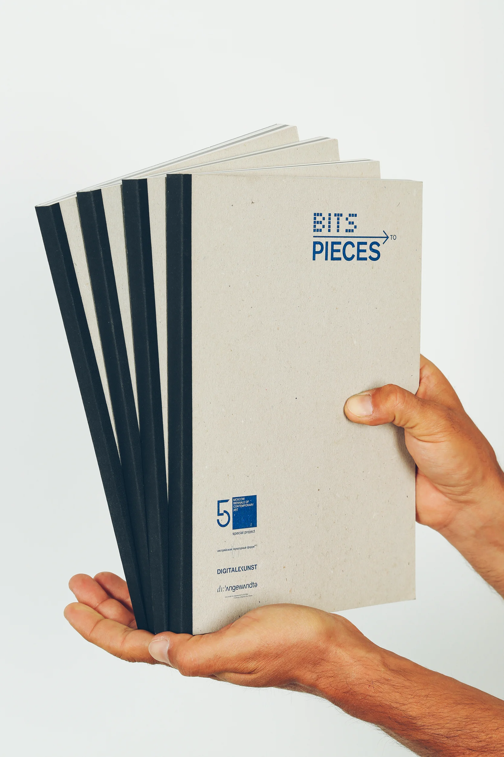 btp10.jpg
