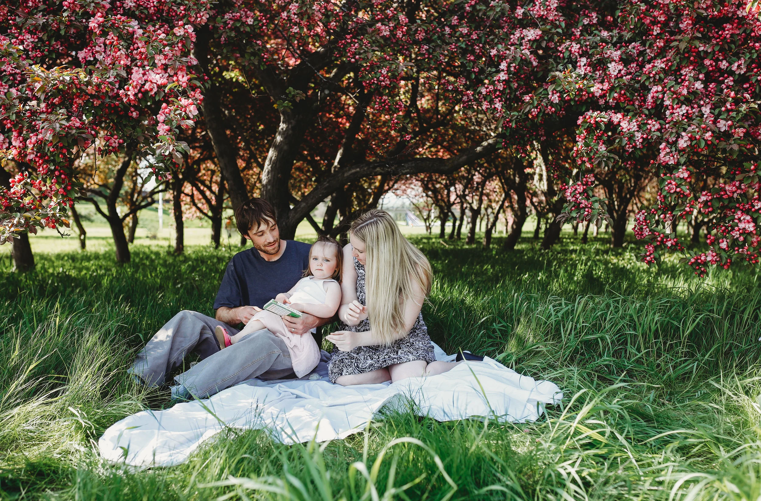 allielikophotography-ottawa-blossomminis-family-149.jpg