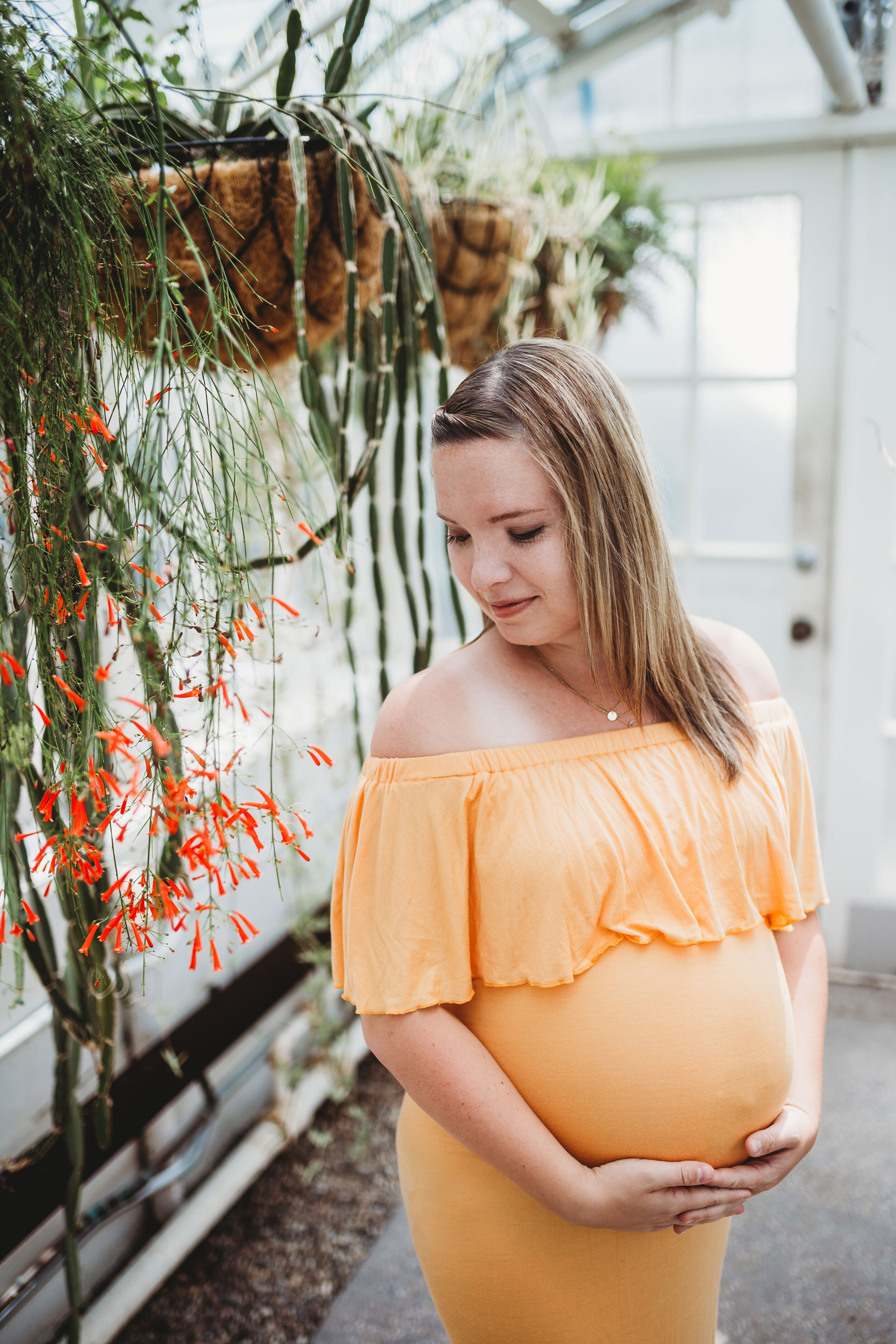 allielikophotography-ottawa-greenhouse-maternity-23.jpg