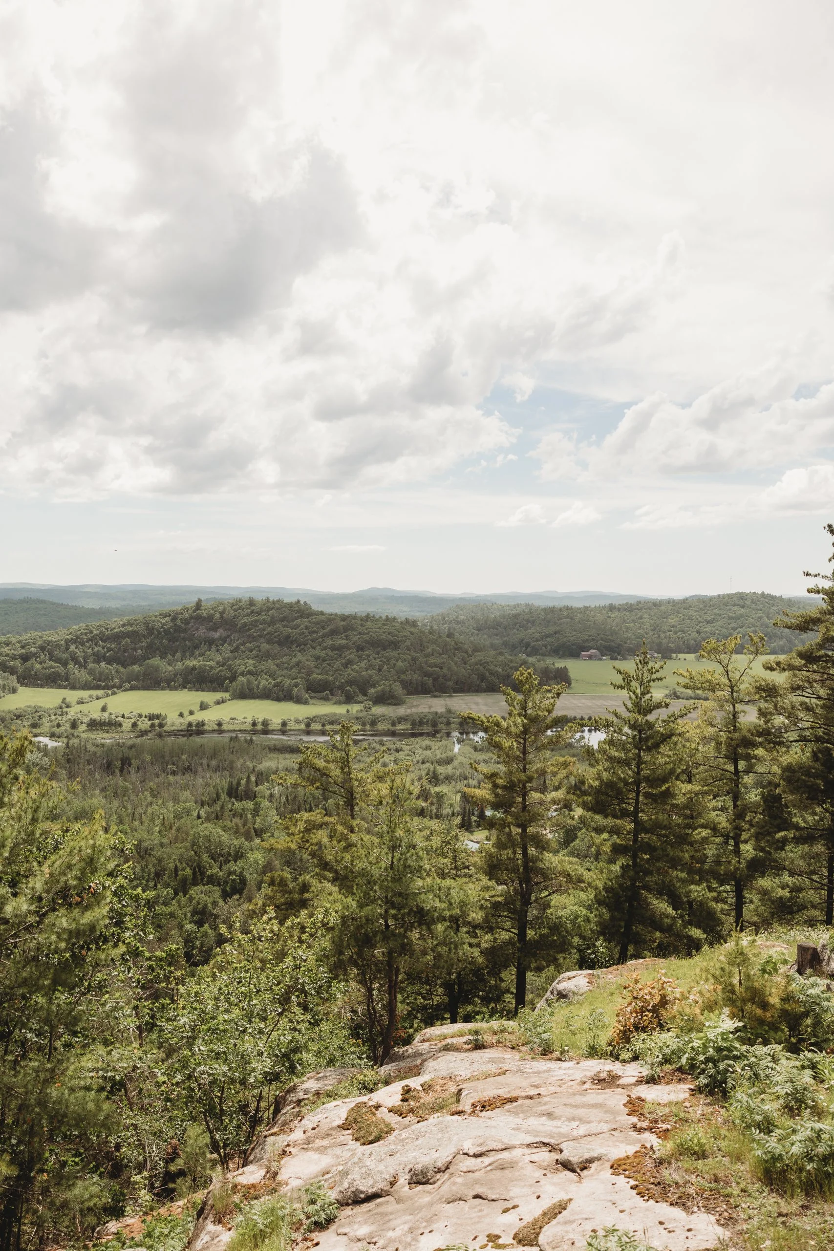 allielikophotography-ottawaweddingphotographer-lebelvedere-ottawaweddings (24 of 1).jpg