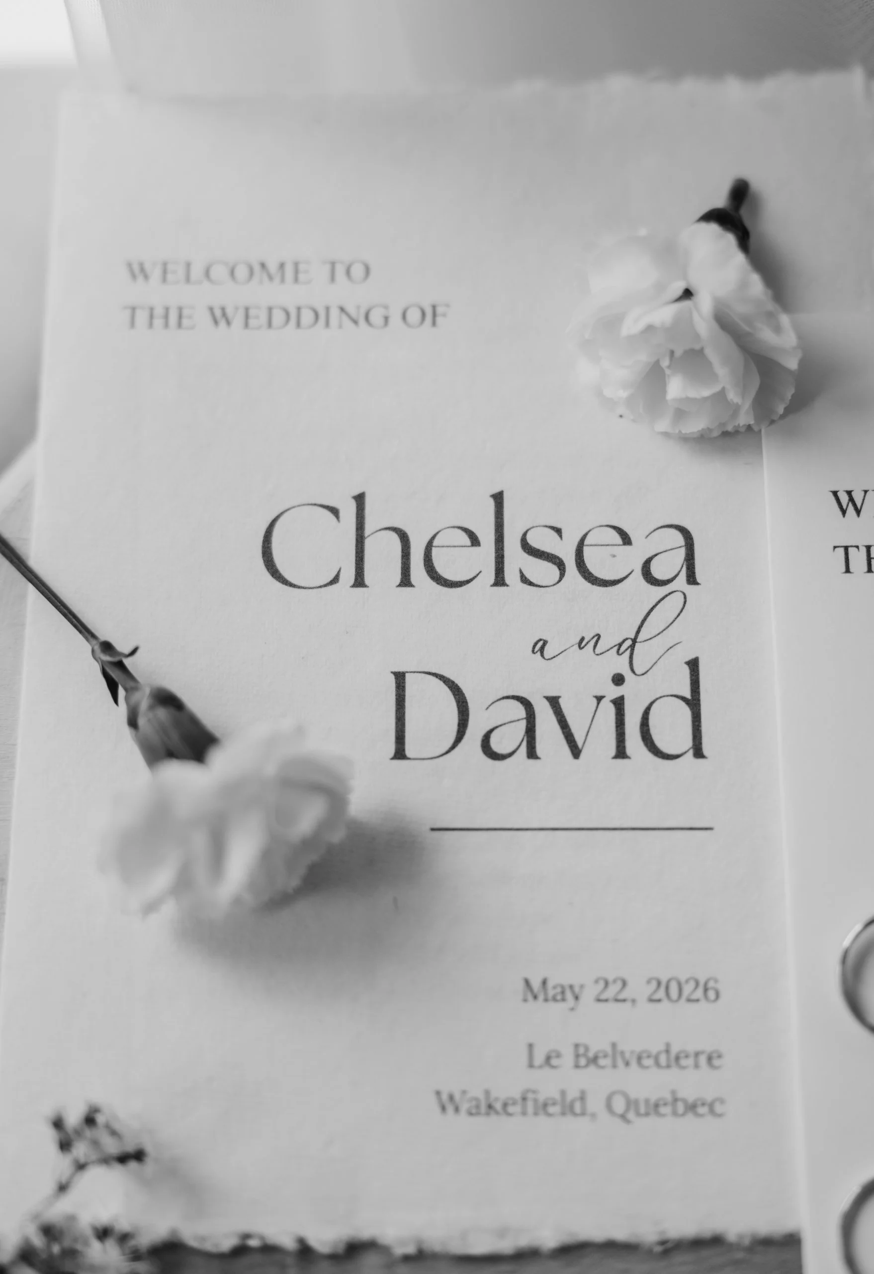 allielikophotography-ottawaweddingphotographer-lebelvedereweddings (5 of 1).jpg