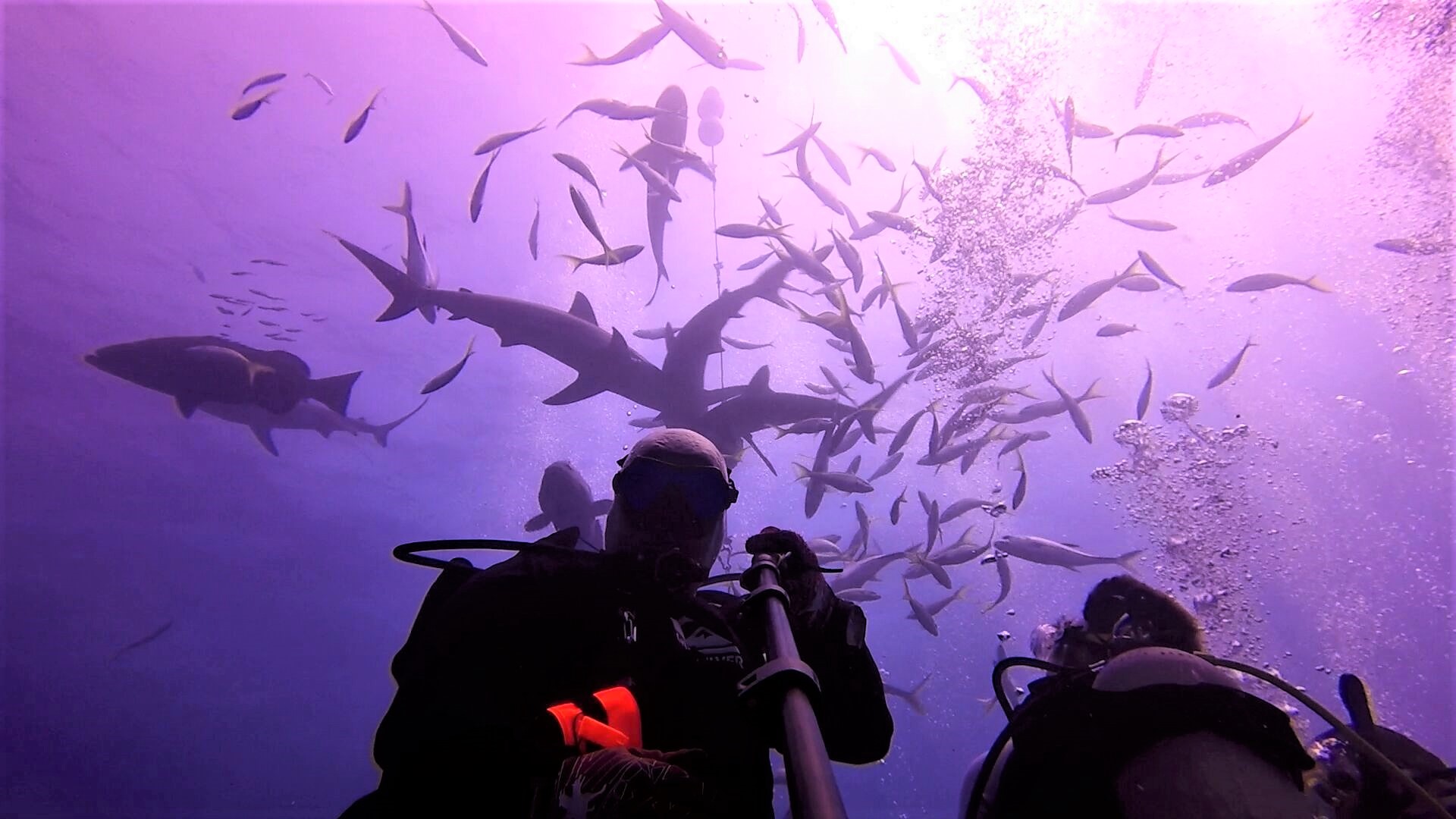 Underwater selfie.jpg