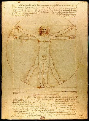 300px-Da_Vinci_Vitruve_Luc_Viatour.jpg