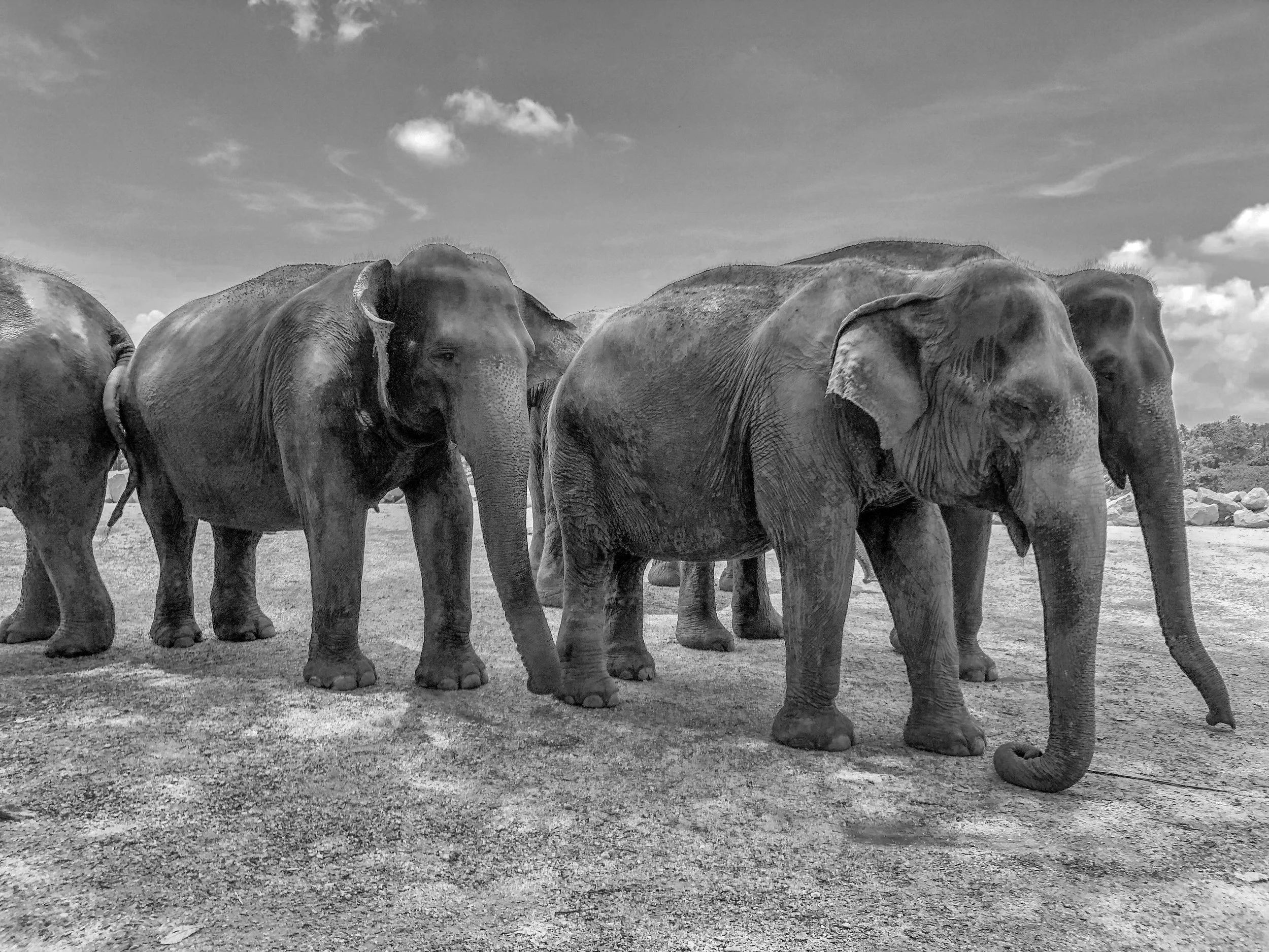 Photo by V Srinivasan on Unsplash