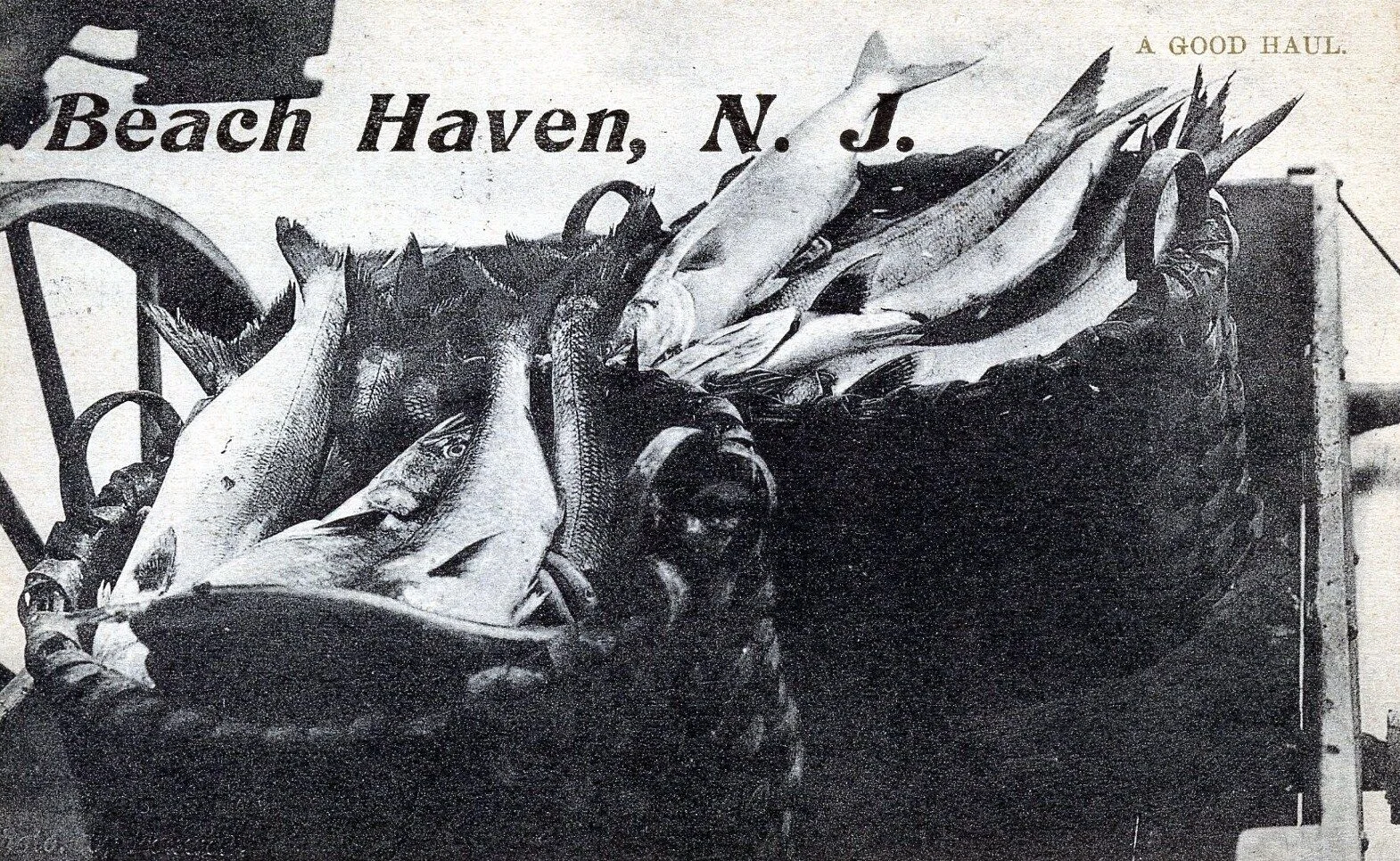 The rich history of LBI Pound Fishing