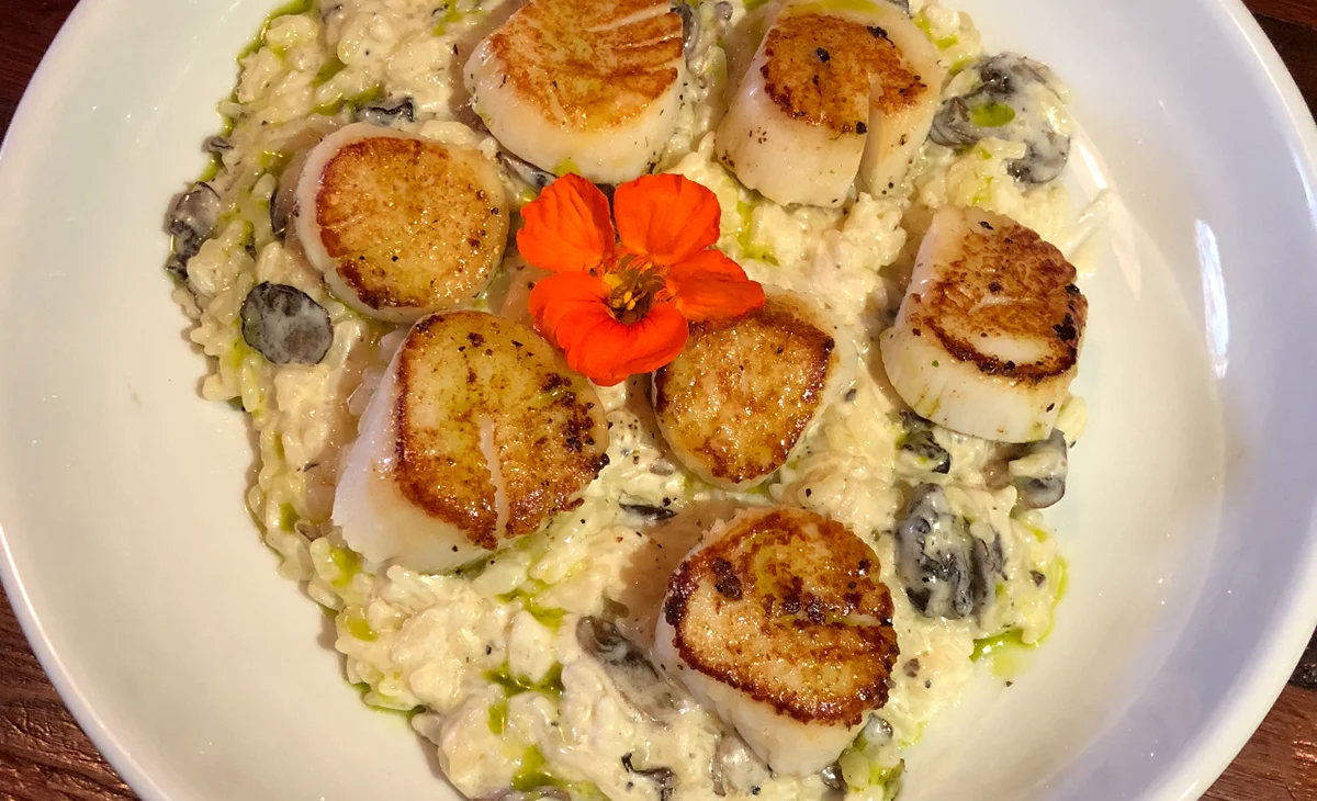 Year round and local, why we love scallops