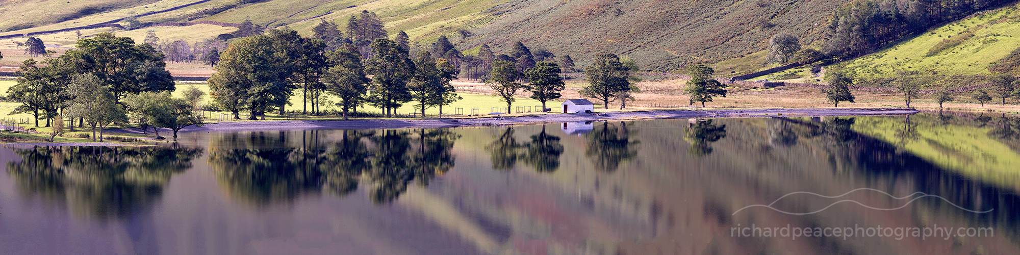#7 reflection : buttermere pines