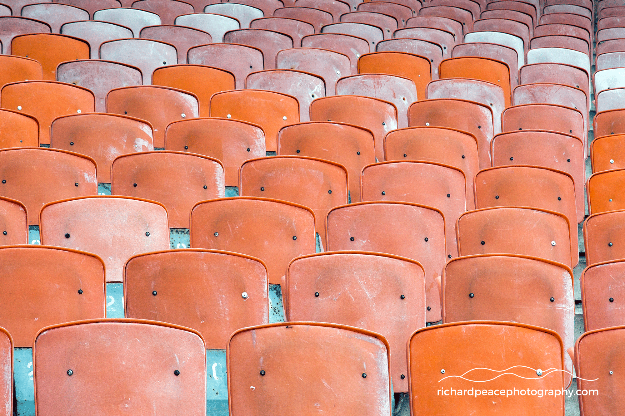 #5 built environment 1 : meadowbank