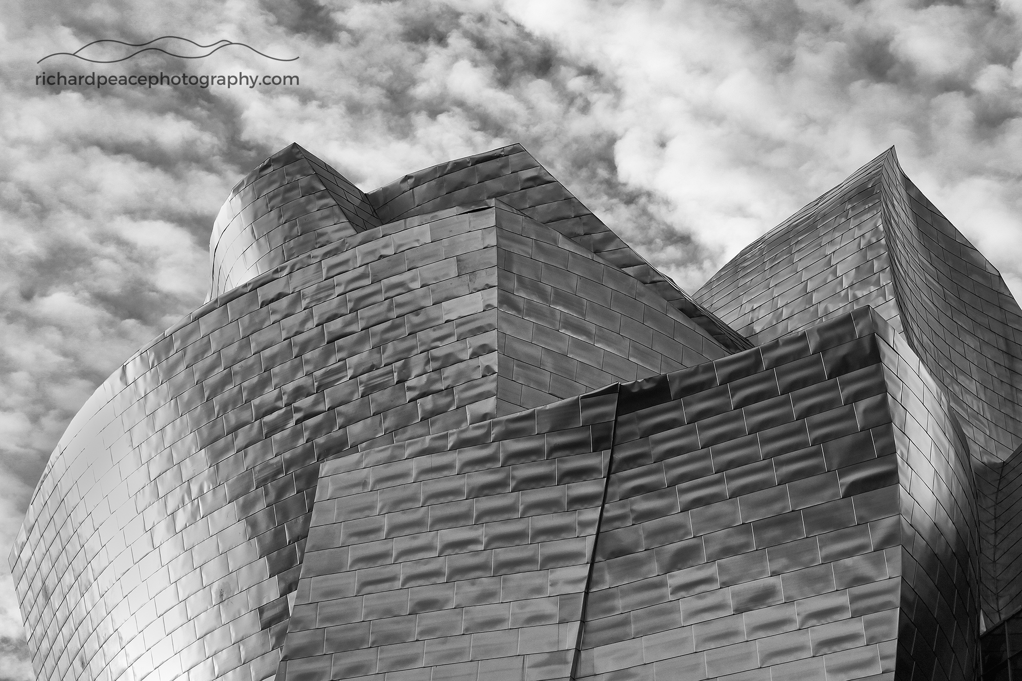 #3 built environment 2 : guggenheim museum, bilbao