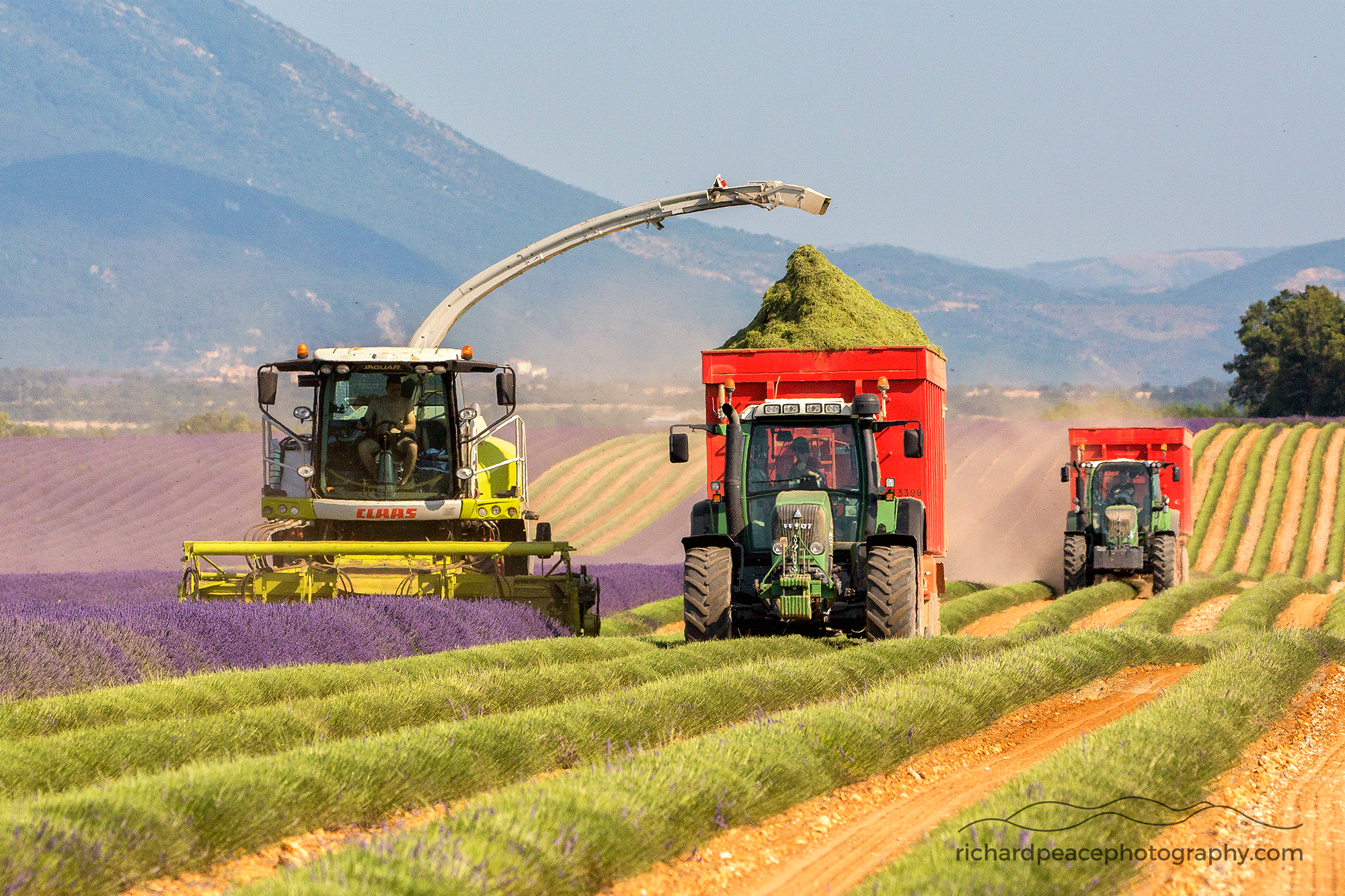 #1 la belle france 2 : harvest time