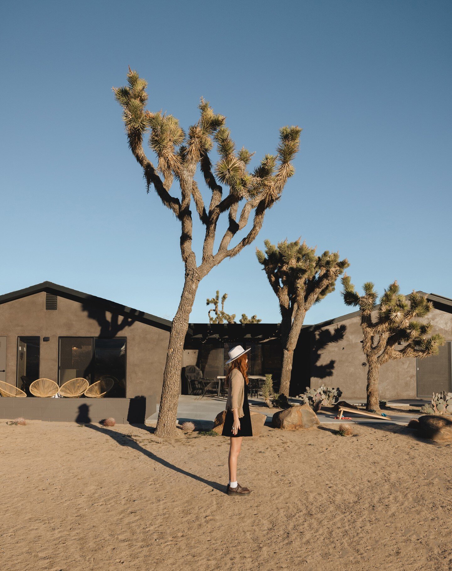 Welcome to The Cohost Collective @mulberryandpine. ✨ 
.
.
🖤 to @courticamp out there doing her best Joshua Tree Impression. 🌵
⁣⁣⁣⁣⁣⁠⁣⁣⁠.⁠
.⁠
.⁠
.⁠
🛠️ @wolfgangpichlerdesign⁠
🏠️ @mulberryandpine ⁠
📸 @courticamp⁠
.⁠
.⁠
.⁠
.⁠
#mulberryandpine #josh