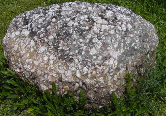 Pudding Stone Boulder