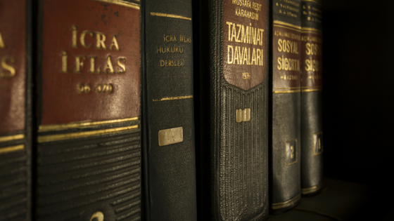 Law & Order: Alpine Valley School