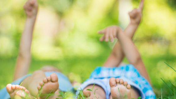 A Family of Apprentices