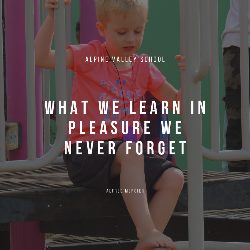 what we learn in pleasure we never forget.png