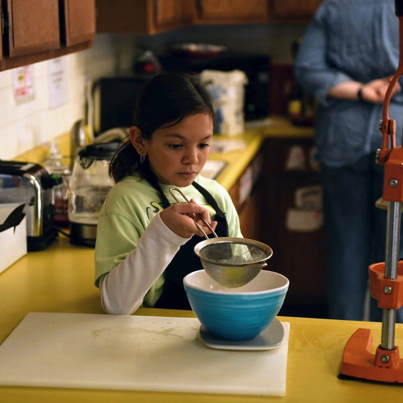 It was a wonderful short week here at Alpine Valley School after taking Monday off for President's Day! 🏔️ Here is a look at what students chose to do with their time this week in our mixed-age environment:

🔴 Students worked on fun animal masks in