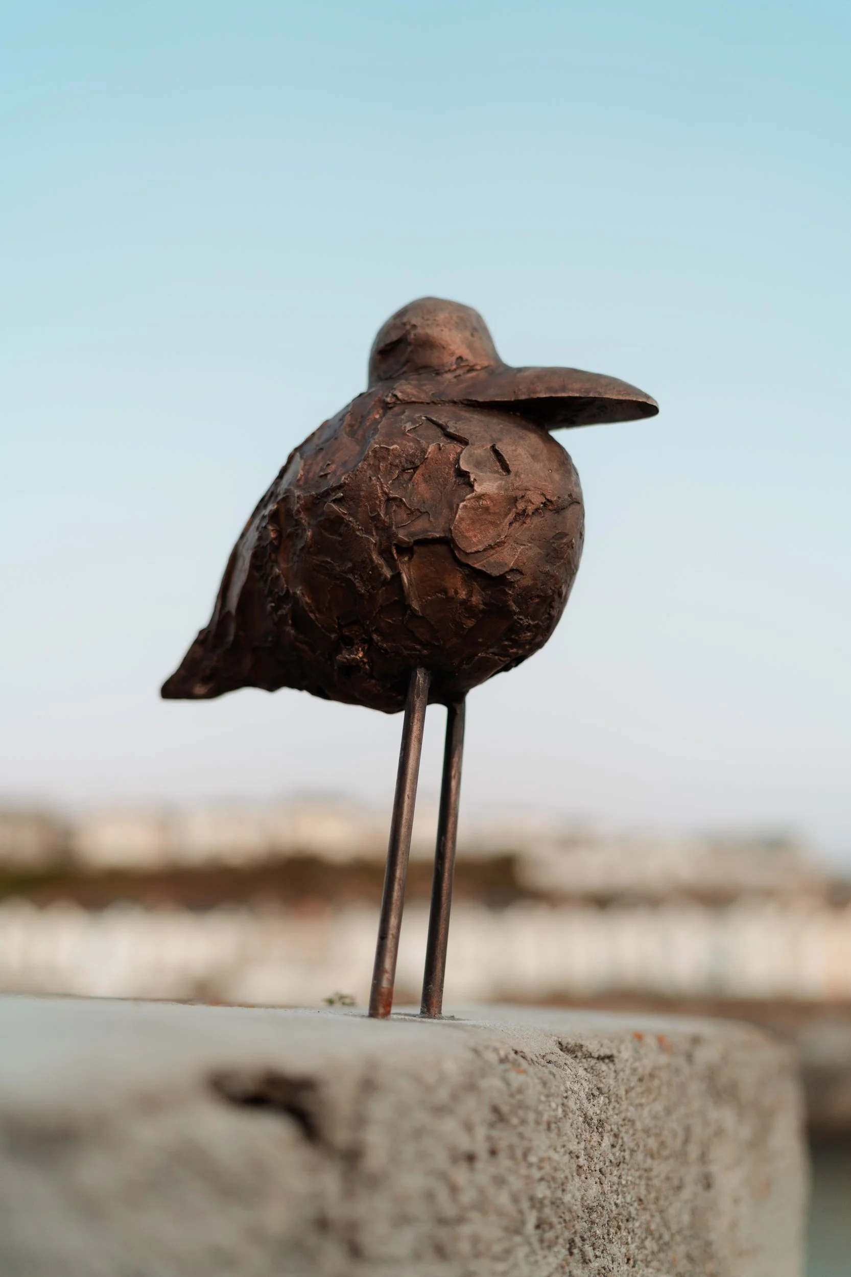 Holly Bendall_Waiting For Fish_Bird.jpg