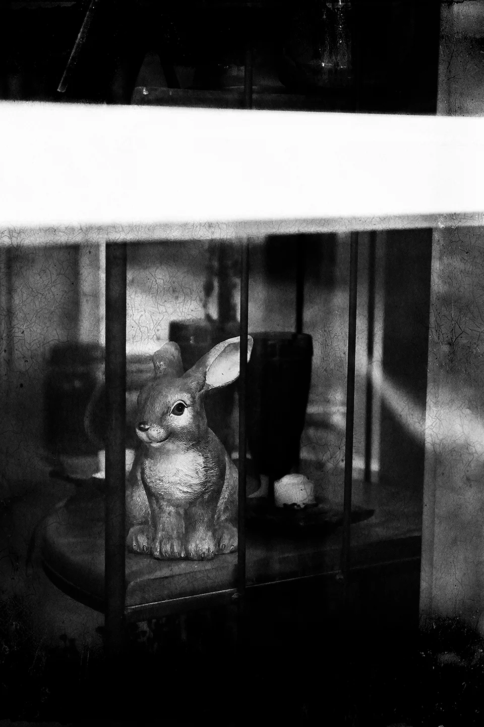 BunBun.jpg