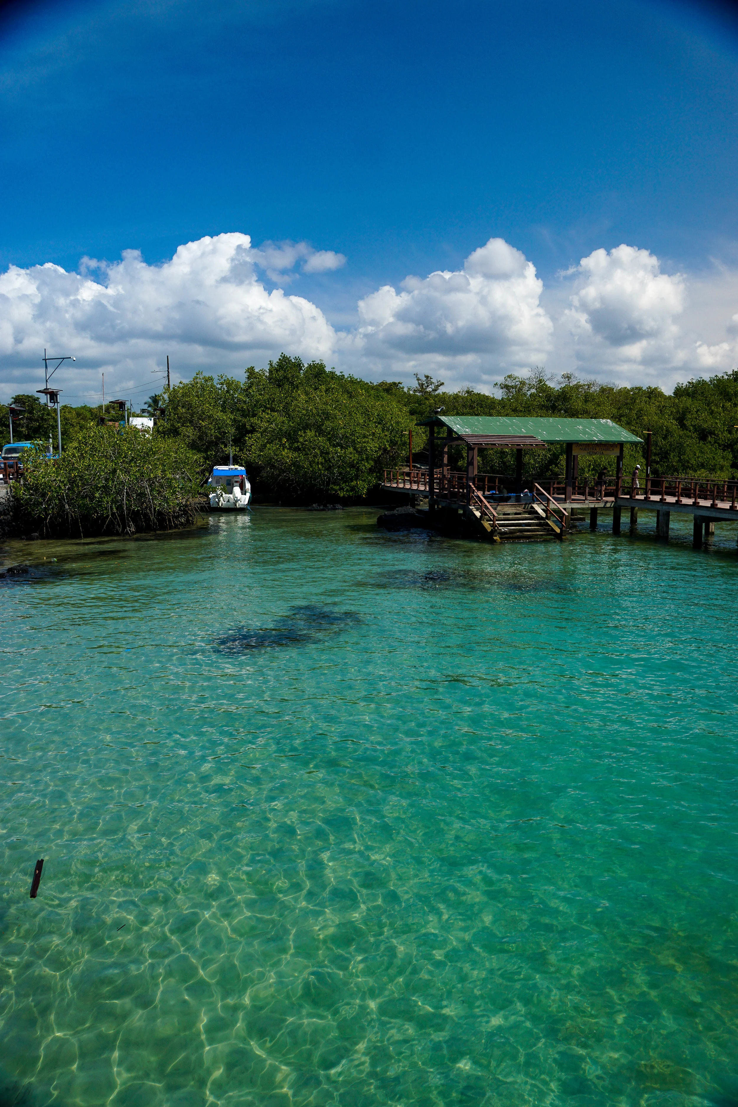 IslaIsabela_dock2.jpg